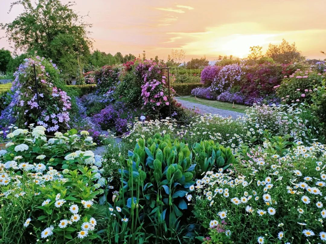 成都妈妈花13年打造3000m05花园成就中国版爱丽丝梦游仙境