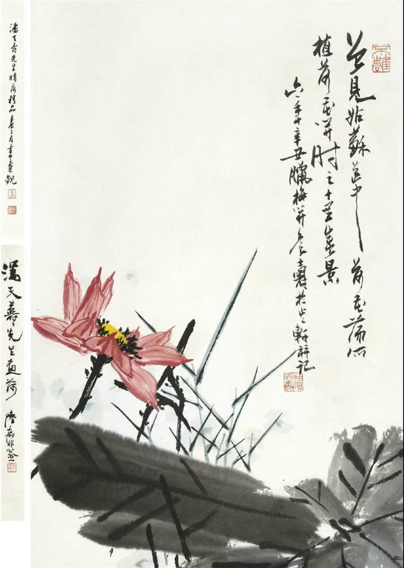 荷风莲香清凉一夏之潘天寿的映日荷花