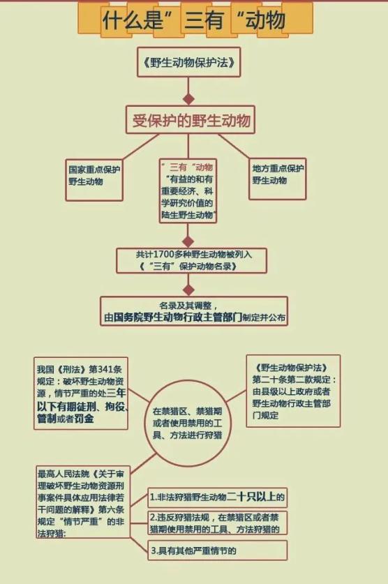 有没有三级保护动物呢