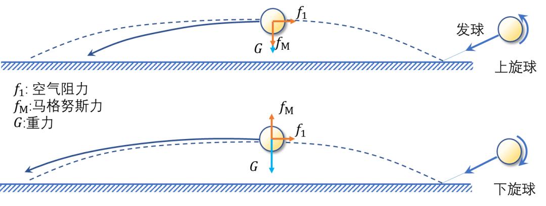 上旋球与下旋球的路径