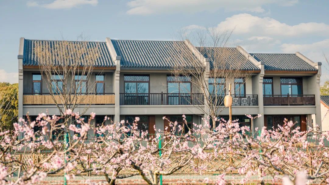 大力推进功能性项目建设,以腾挪宅基地为肌理,推进渔沥林盘,桃花廊庑