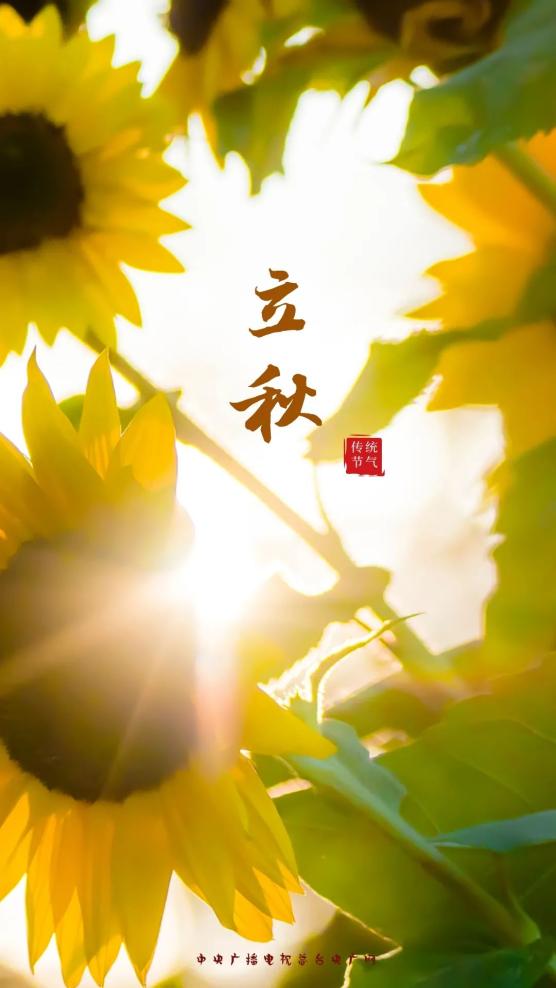 秋天的第一个节气——立秋1717我们将迎来2021-08-07 11:04宁夏