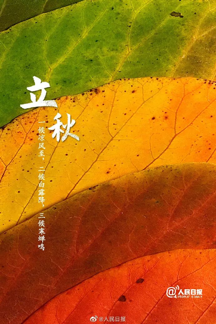 二十四节气今日立秋