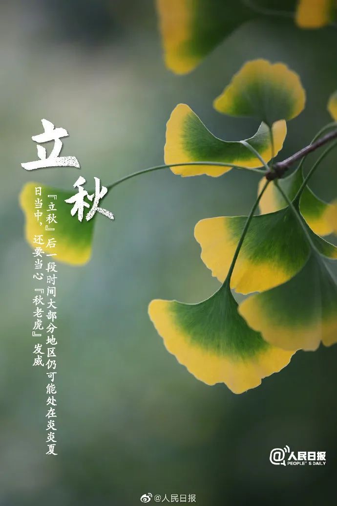 二十四节气今日立秋