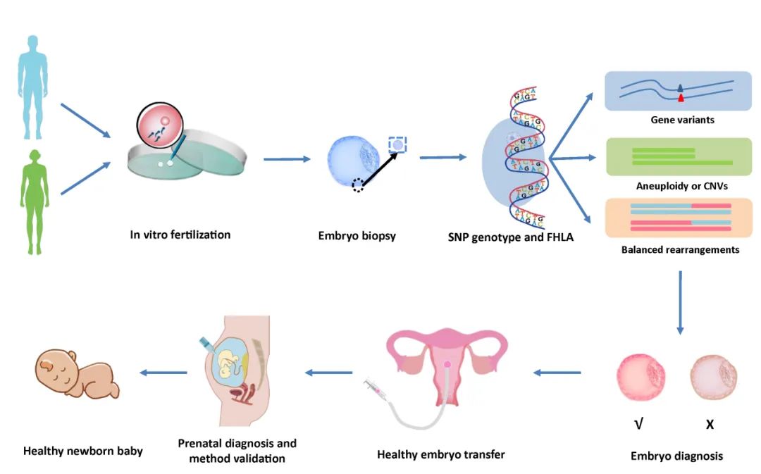 即通过一次检测便能同时检测出胚胎中的基因变异,染色体非整倍体和