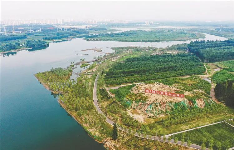 最新武清北运河改造图片
