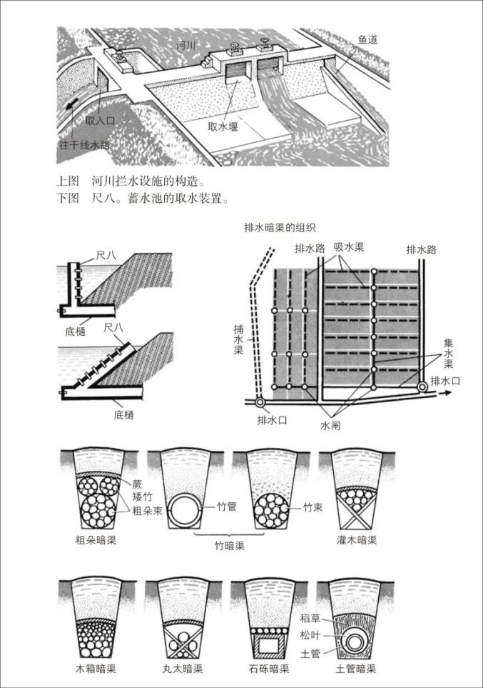 日本文化图典 4000幅手绘图带你从细节看日本_眼光_澎湃新闻-The Paper