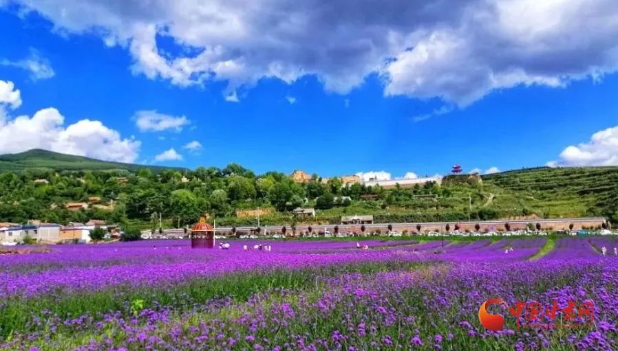 【中省媒体看平凉】庄浪:乡村旅游吸睛又吸金