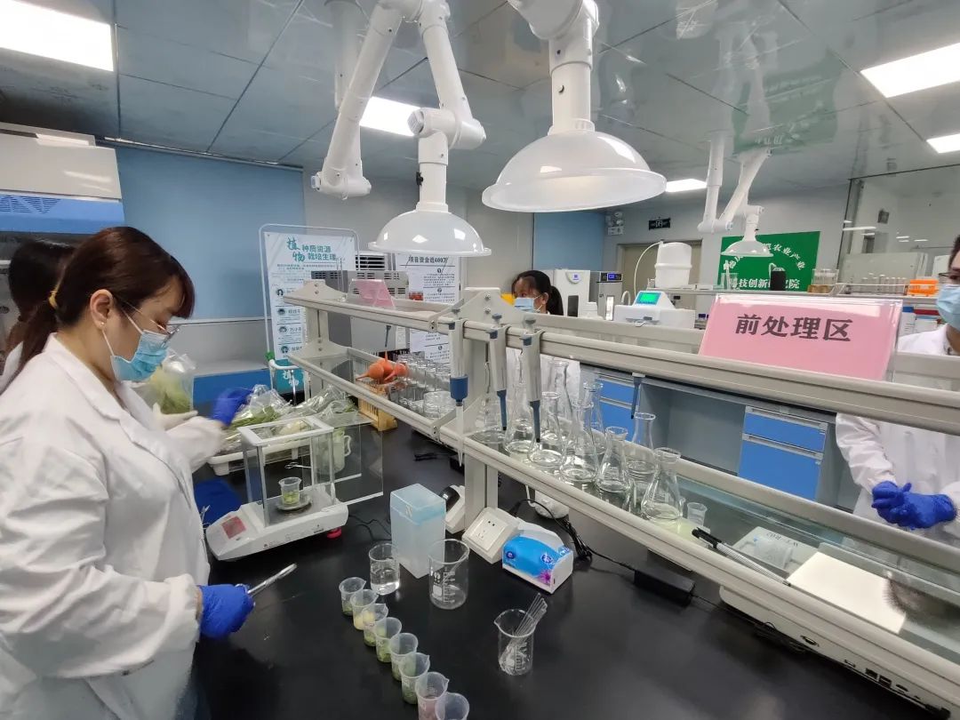 德庆仲恺农业产业科技创新研究院实验室.市农业农村局供图 据介绍