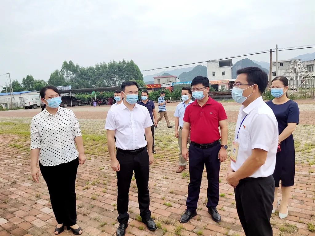 来宾市委常委廖长友到武宣调研