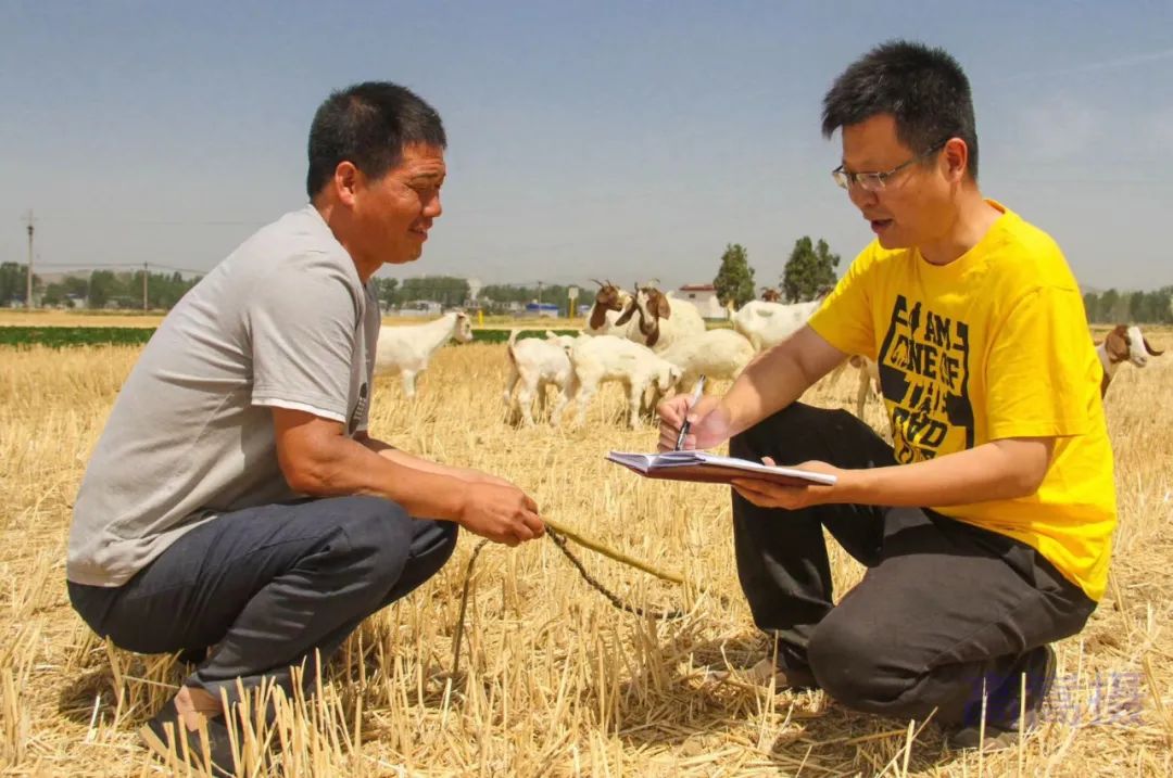 表彰!南阳中院赵康获评"河南省优秀驻村第一书记"