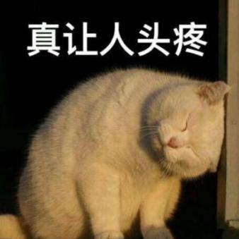缺钱花大学生把自己卖了竟成了通缉犯