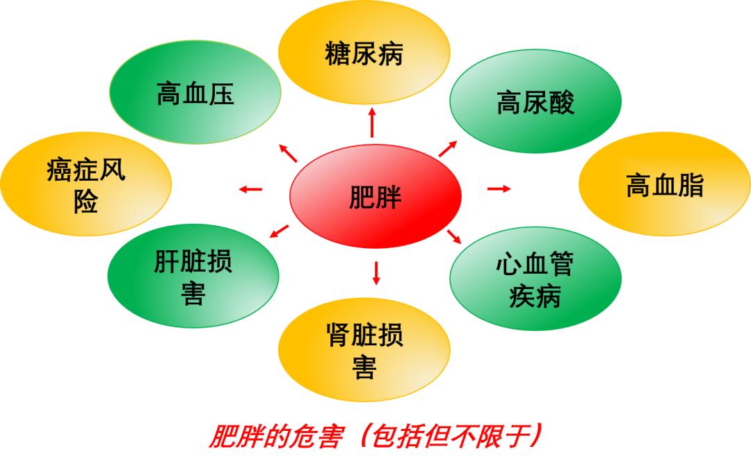 肥胖危害高尿酸危害06hua和肥胖怎么防治痛风,hua与肥胖,代谢综合征的