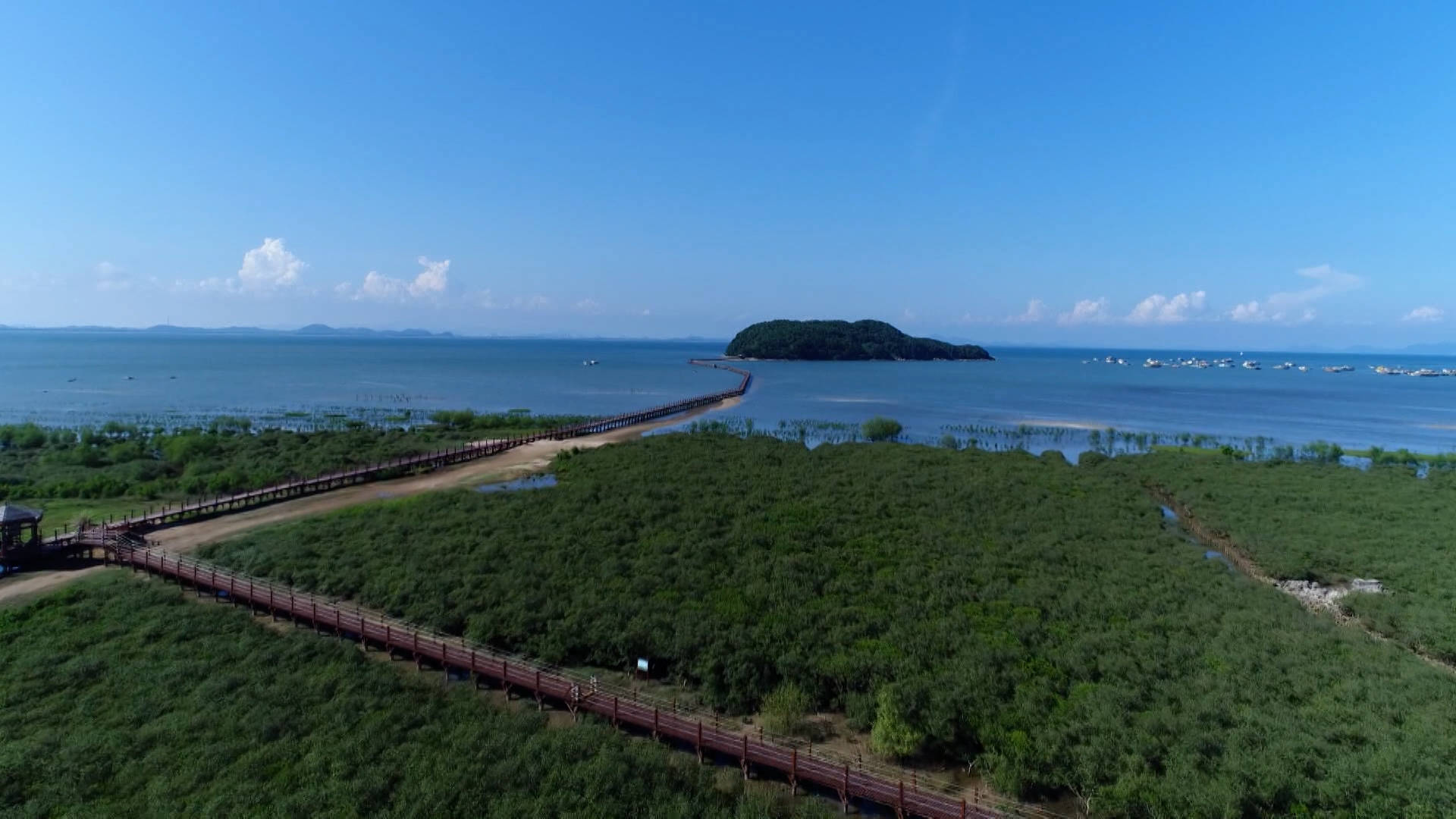 闸坡镇20公里乡村风貌带的九大景点滨海风情尽显