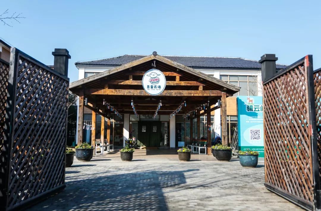 松江这些本地水果到了最好吃的时候还不来尝尝