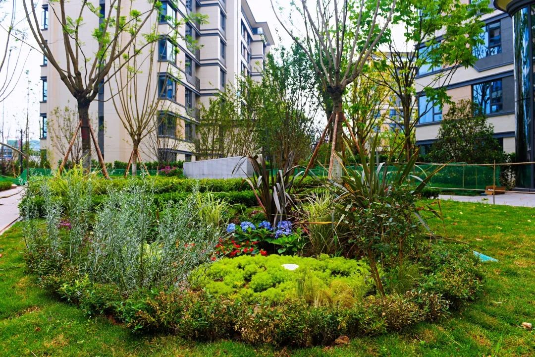 为城市疏筋通脉渝北今年将竣工11个海绵小区海绵建筑67