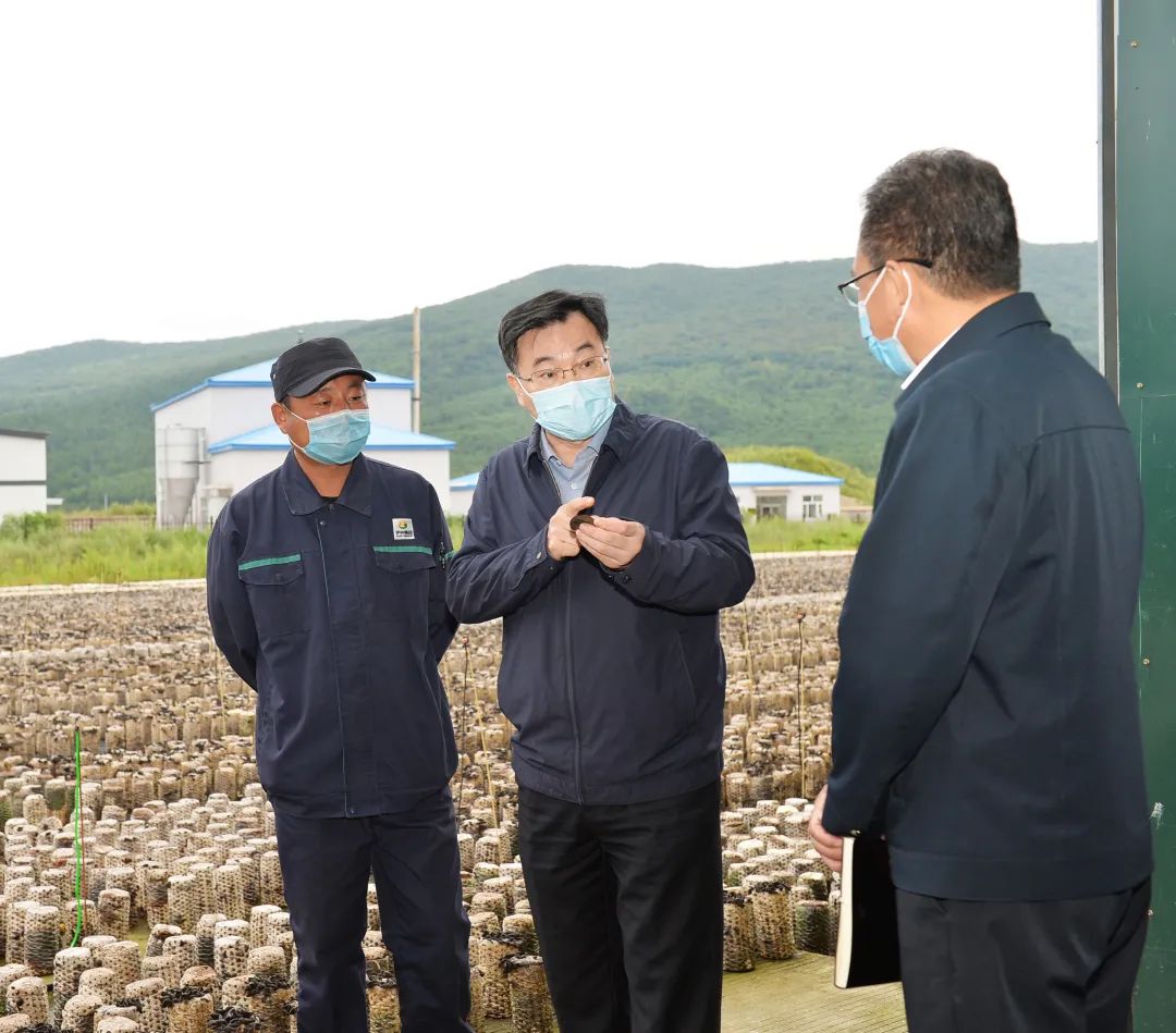 因地制宜培育壮大特色产业胡昌升到伊春,鹤岗调研时强调2021-08-11 21