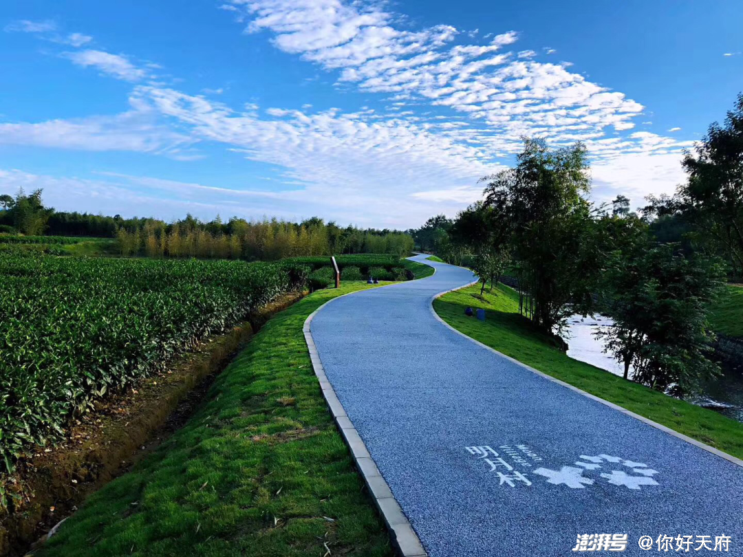 明月村绿道2020年,明月村接待游客23万人次,乡村休闲旅游收入达到3300