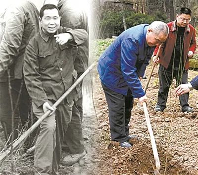 "草鞋书记"的绿色情怀—记"七一勋章"获得者周永开