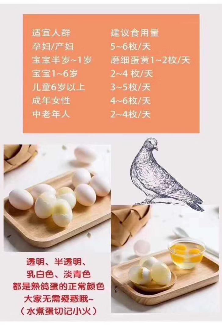 鸽子蛋和鸡蛋对比图片