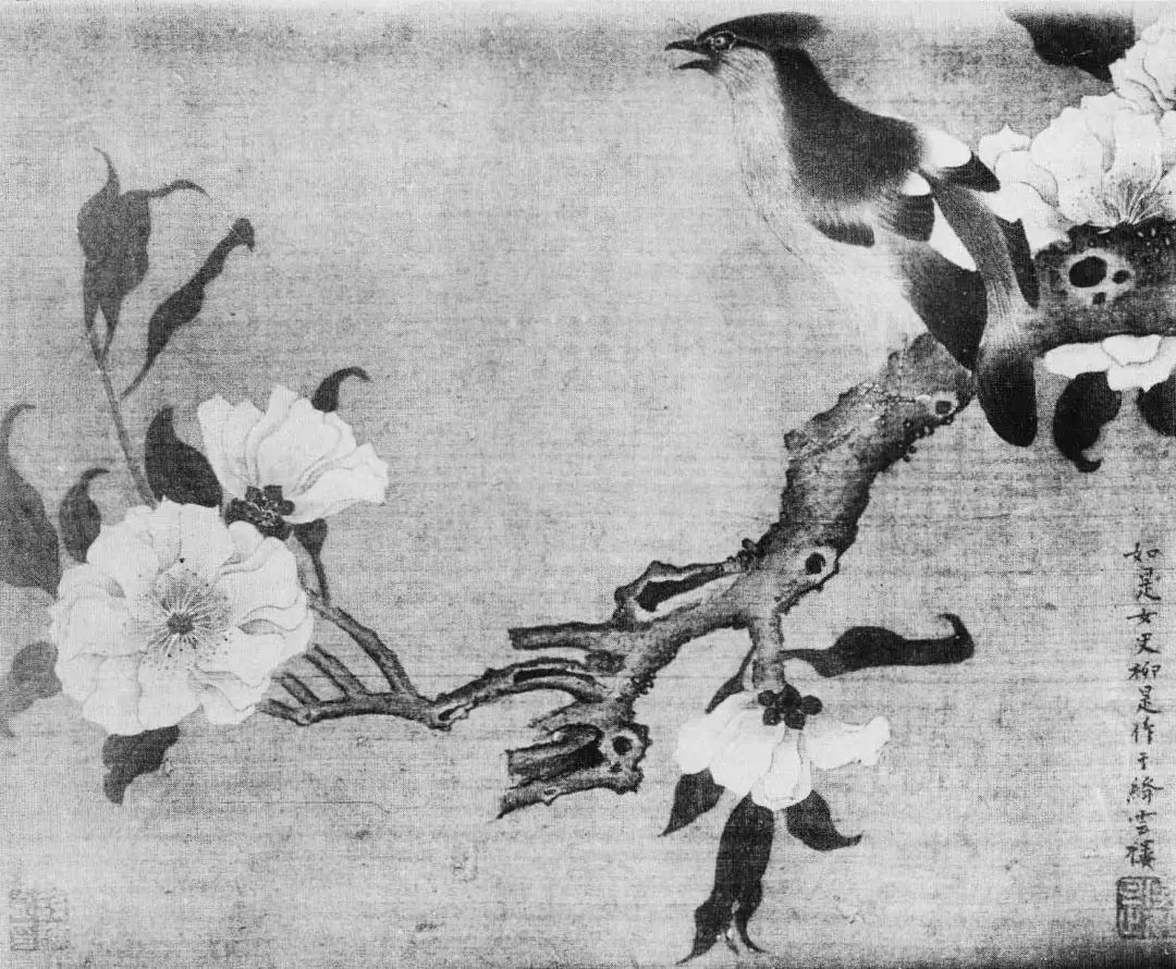 在阴影中绽放的柳如是