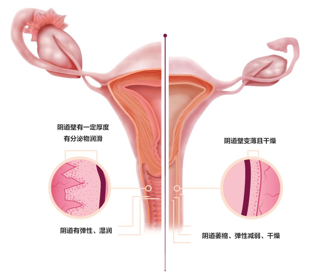 孩子的缺点改良还在用惩罚和打骂？缺点优势要看透，比打骂强百倍|优点|父母|惩罚_新浪新闻