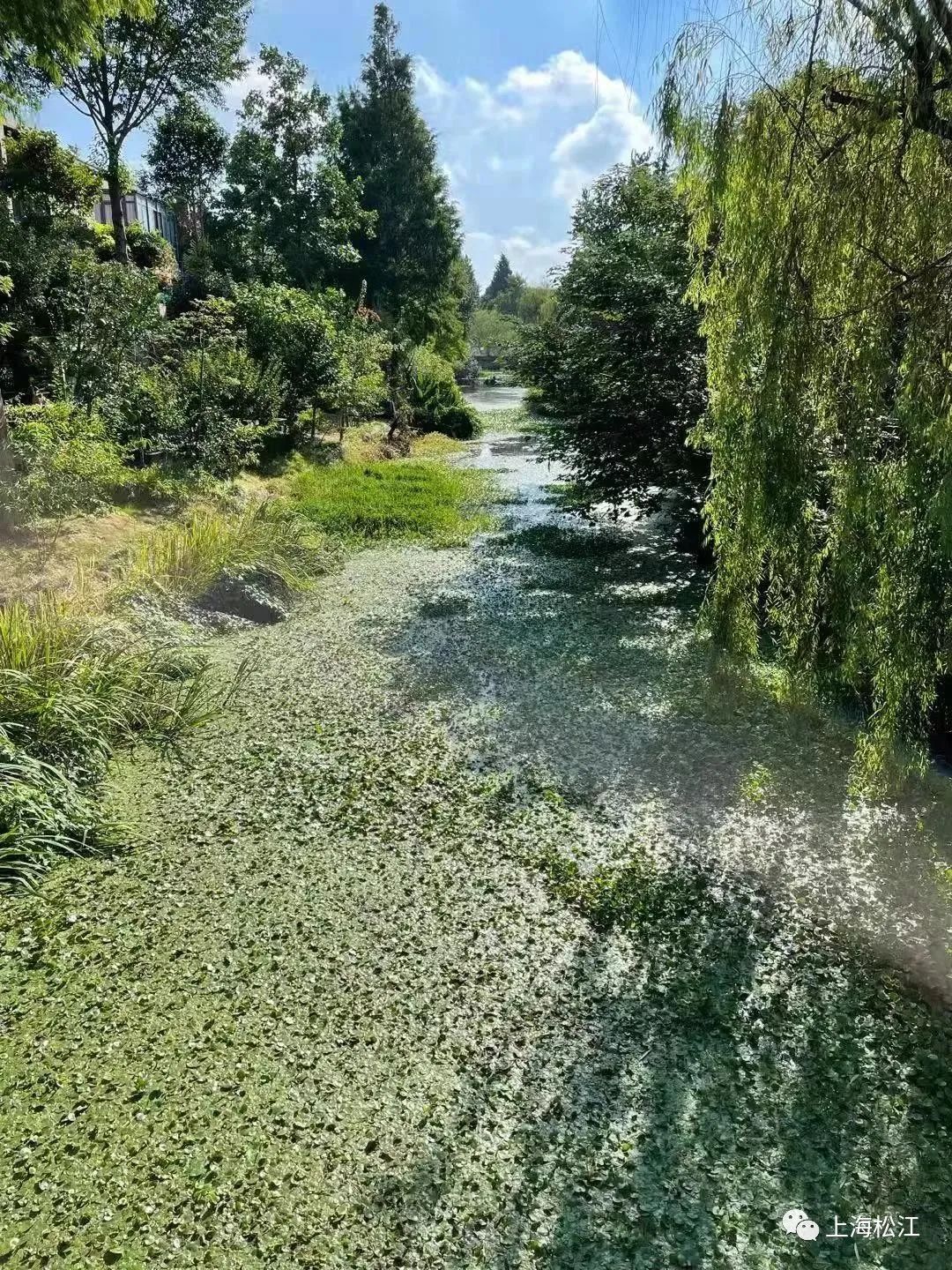 河道變