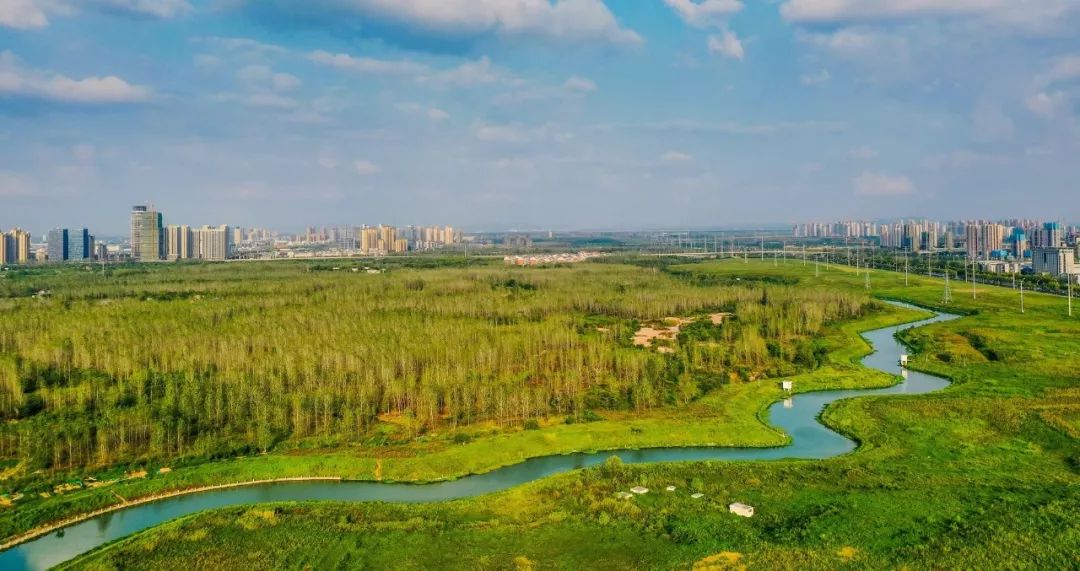 沿着十五里河顺流而下,巢湖入口的闸站,弧形闸门对开,泵站对称分布.