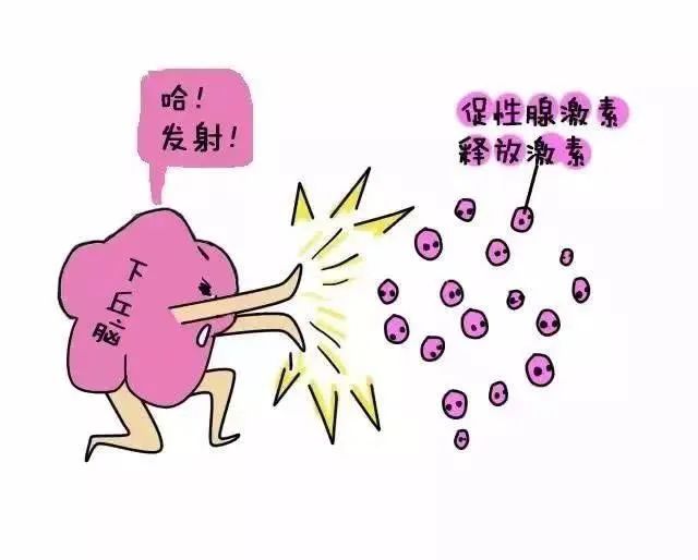 10个问题轻松搞懂gnrha在治疗中枢性性早熟中的规范化应用一