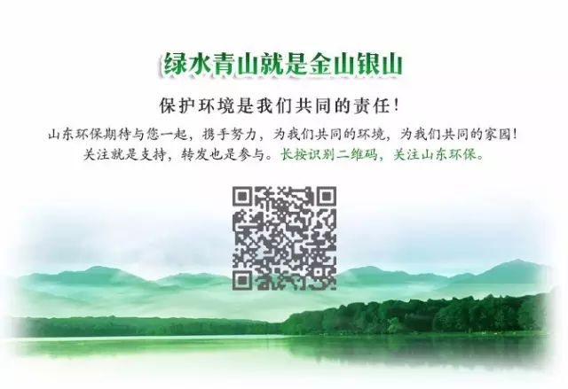 保护生物多样性 全球极危物种青头潜鸭群现身东平湖