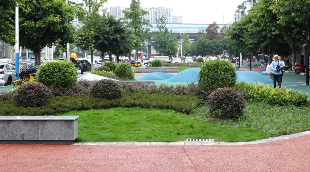 从吐槽点到幸福感爆棚市民点赞小游园微绿地