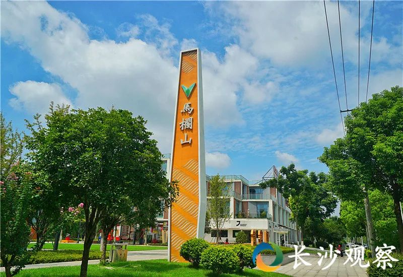 这一年青春马栏山的故事