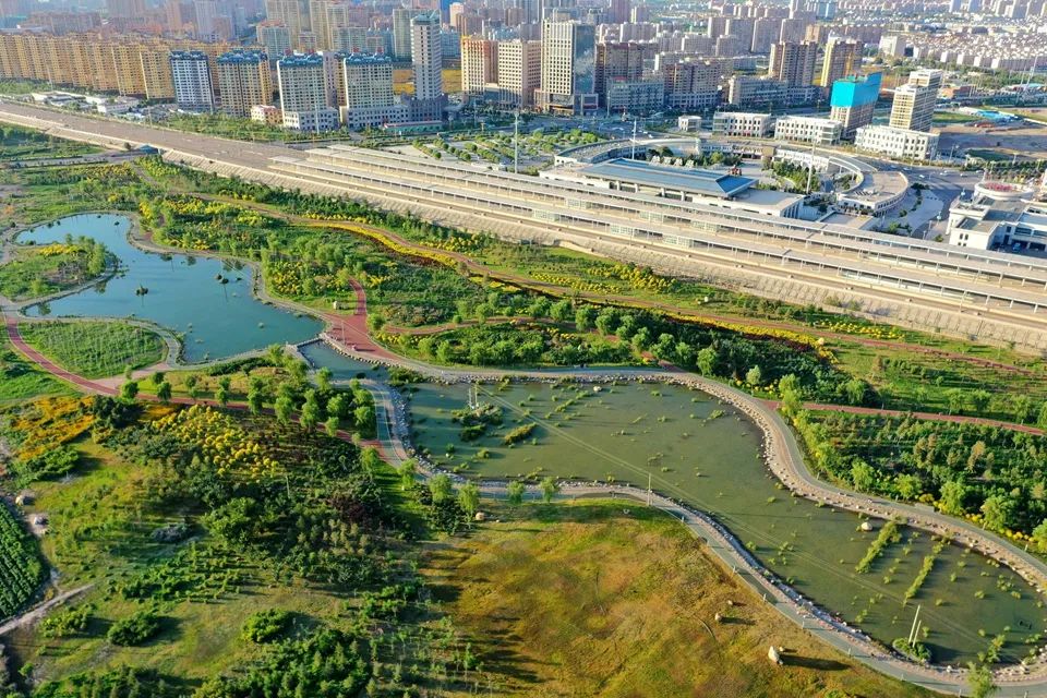 高鐵西站生態公園景色美