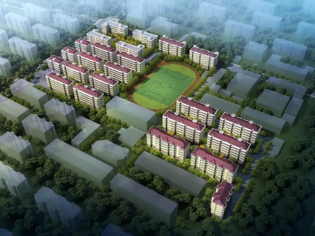 这里有一份"美丽家园"改造计划,需要你的建议哦
