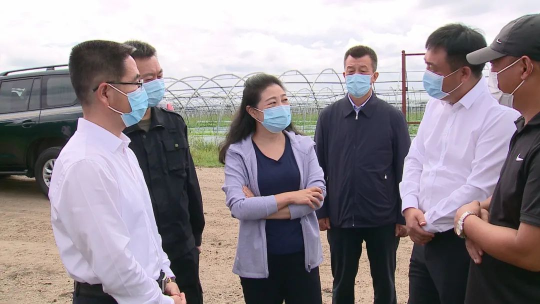 齐齐哈尔市委副书记何晶深入讷河调研