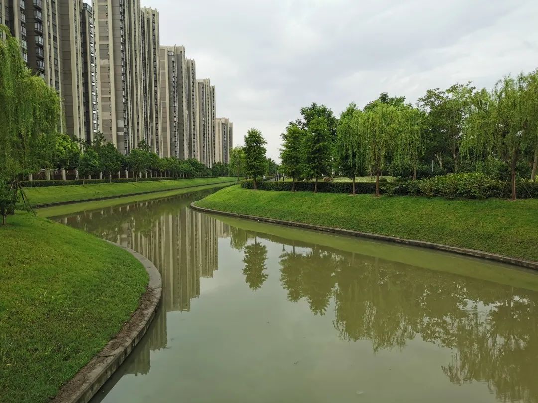 将对新开工的16条村域村级河道,完成绿化护坡和护岸结构的施工