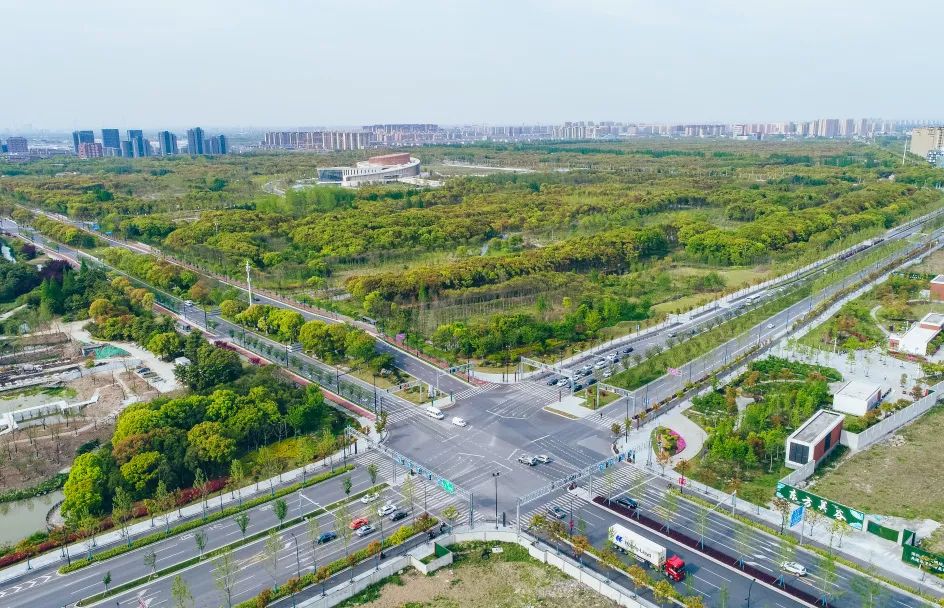 (s4跨线桥东-金海公路)航南公路#4g228丹东线(奉贤段)东起奉海中心