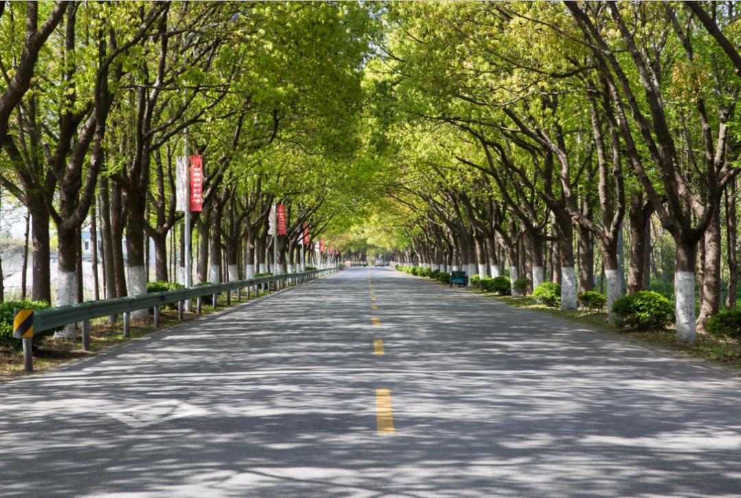 (滑动查看更多)沿钱公路(南奉公路-平庄西路),全场3.