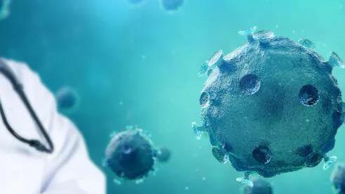 【广东又出现新病毒
 /广东又出现新病毒了吗】