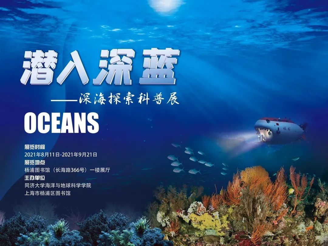 海底进化世界免广告图片