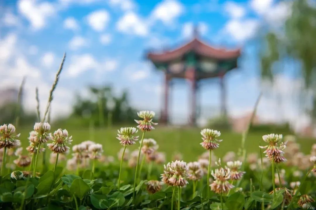 武清聚富荣