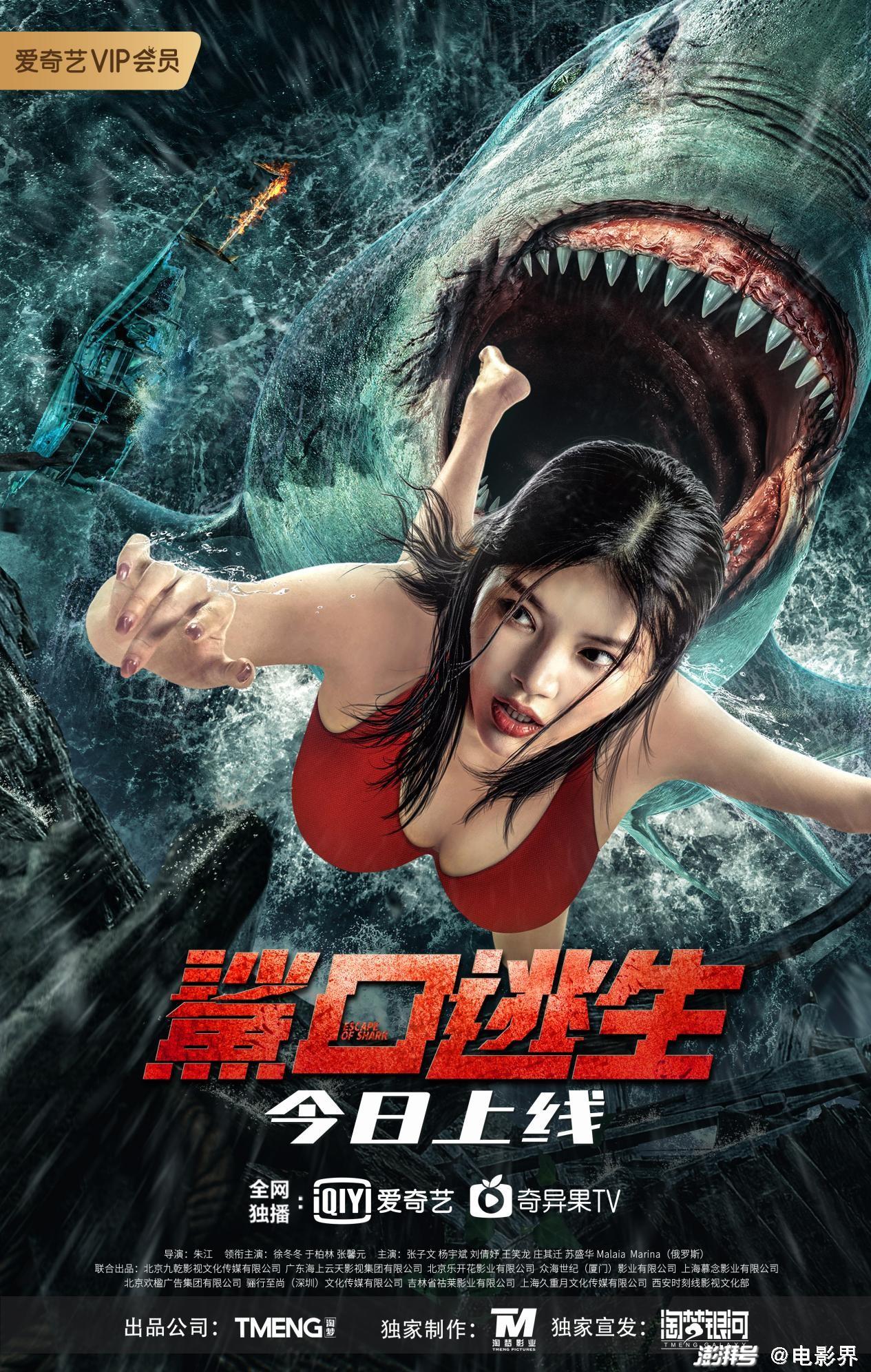 鲨口逃生 今日上线 肉搏狂暴巨鲨 生猛刺激清凉一夏 文艺 澎湃新闻 The Paper