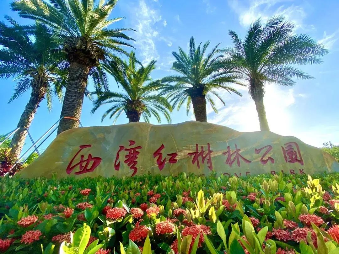 超全攻略！千园之城，总有一款公园适合你