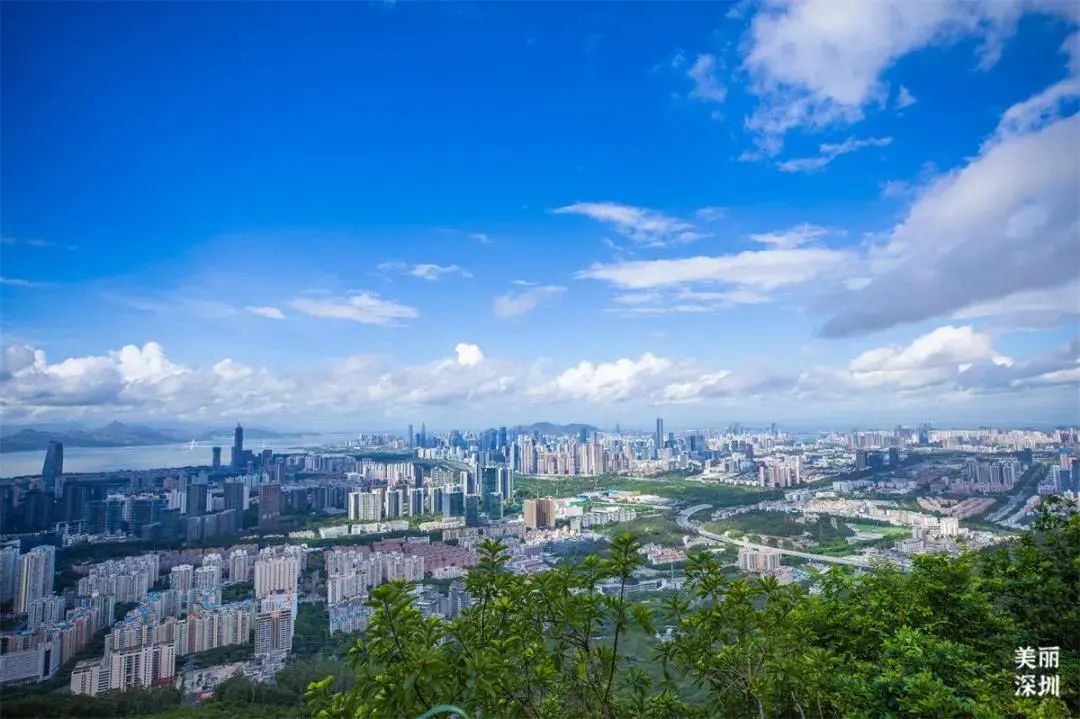 超全攻略！千园之城，总有一款公园适合你