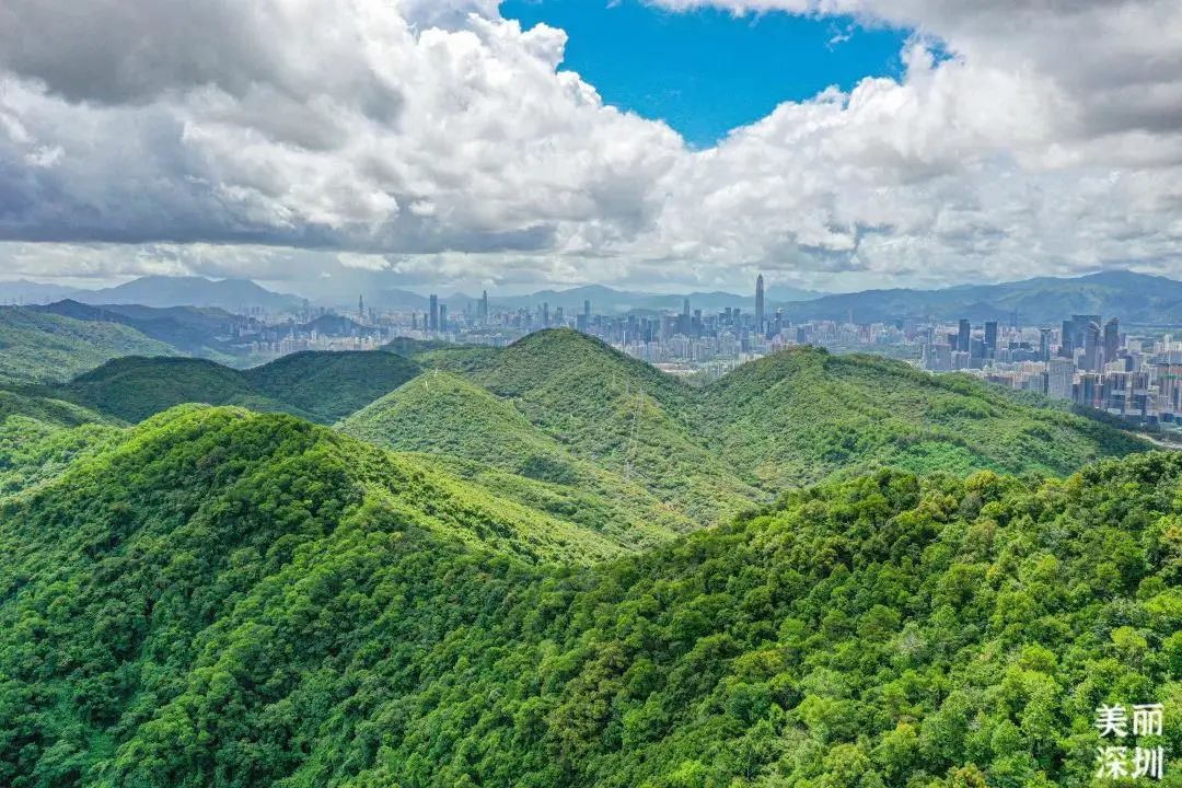 超全攻略！千园之城，总有一款公园适合你