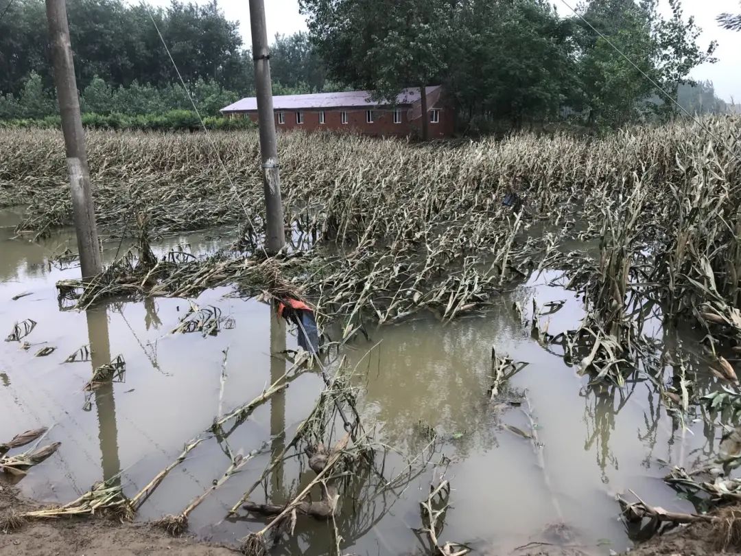 玉龙水库淹没区图片