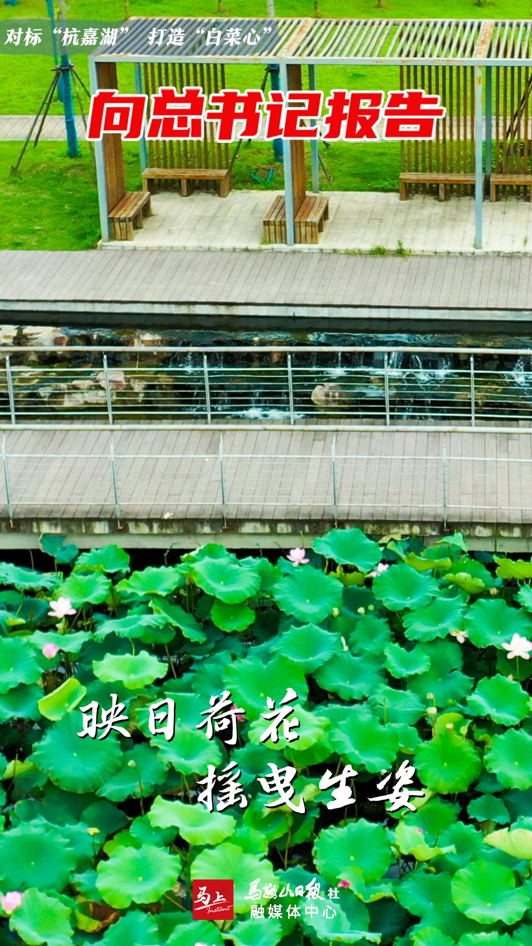 一年了,她们美出新"净"界!