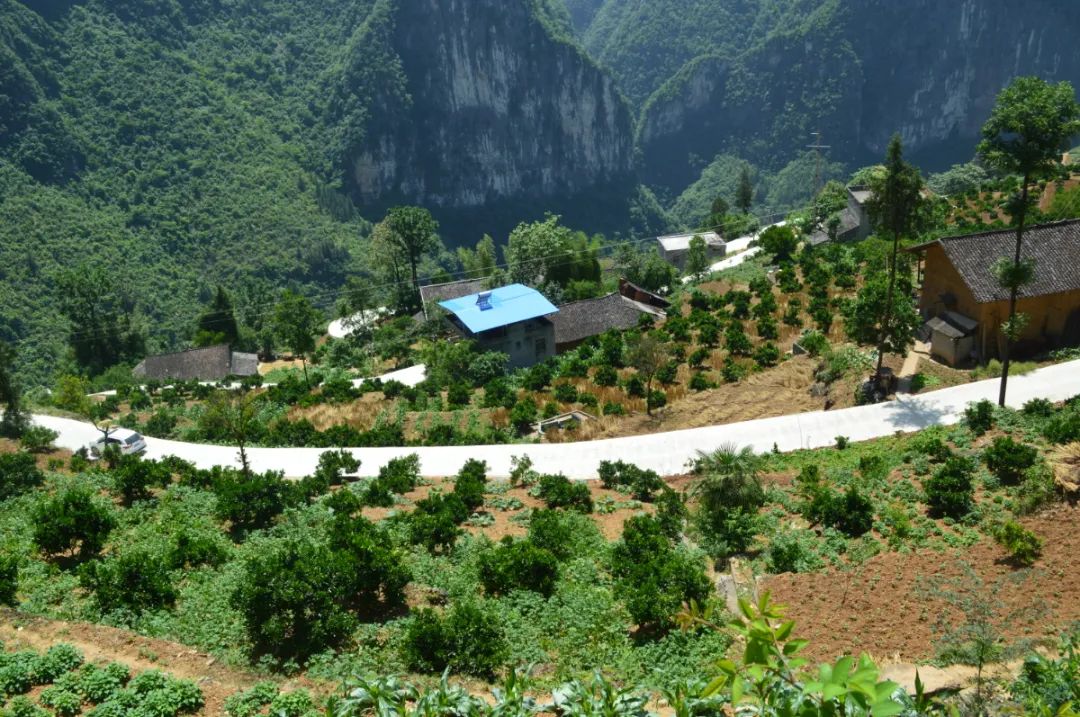 下庄风光 巫山县委宣传部供图