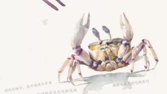 螃蟹霸屏宁波朋友圈，你实现螃蟹自由了吗？