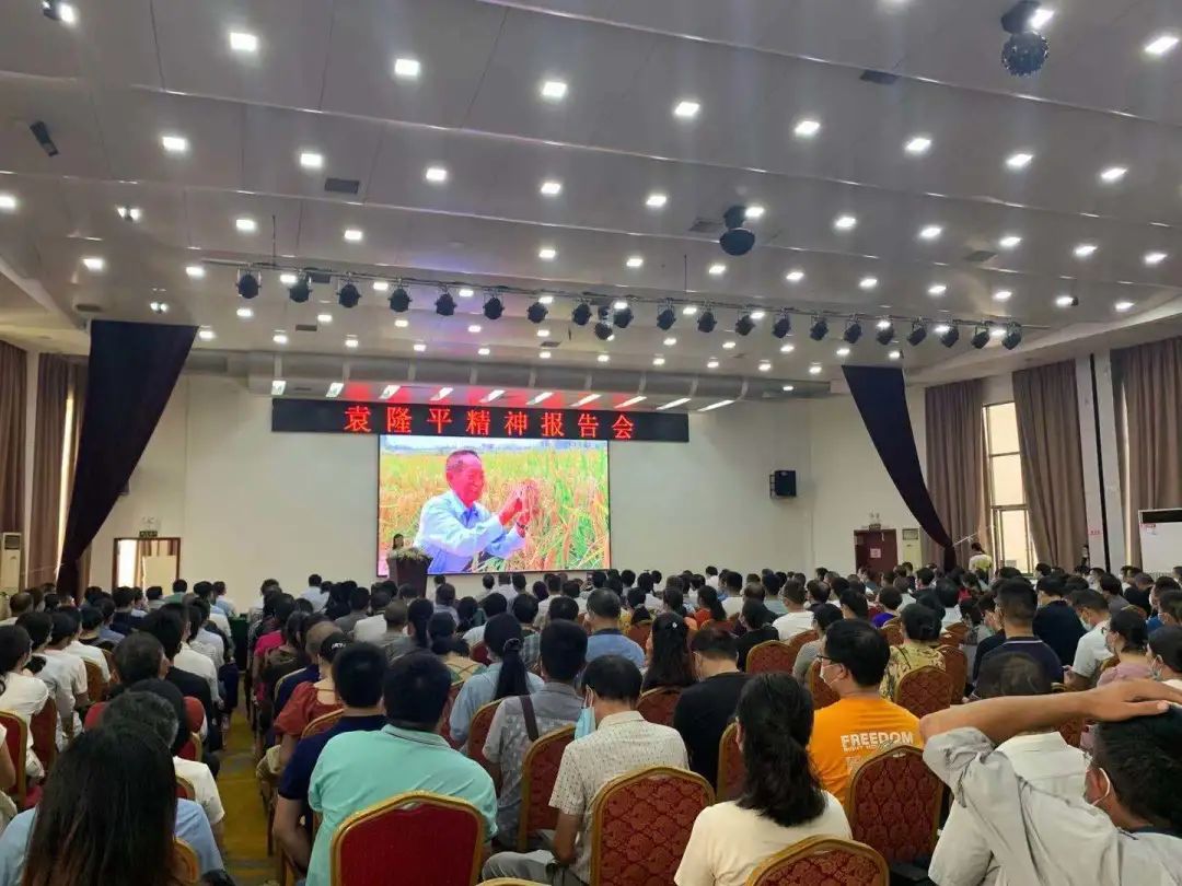 袁隆平的水稻是转基因吗_非洲的杂交水稻被带到袁隆平墓前_袁隆平转基因水稻
